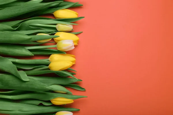 Beautiful tulips on red background, flat lay. Space for text