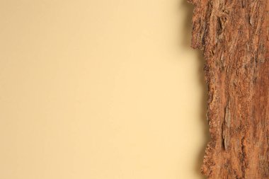 Tree bark piece on beige background, top view. Space for text