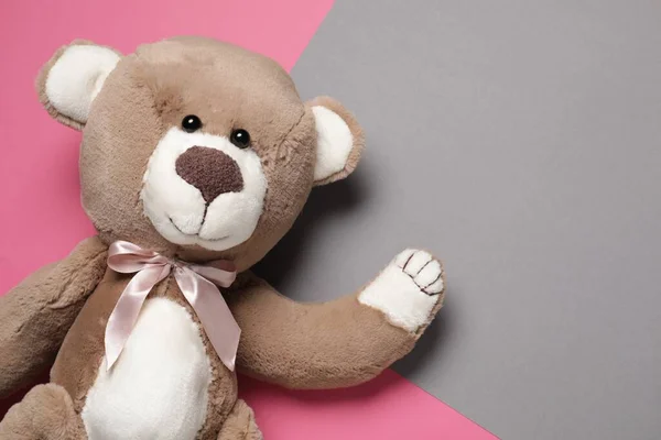 Boneka Beruang Lucu Latar Belakang Warna Pemandangan Atas Ruang Untuk — Stok Foto