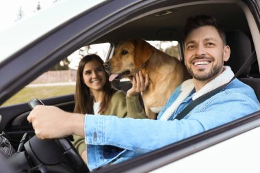 Mutlu çift ve köpek arabada. Evcil hayvanla seyahat etmek
