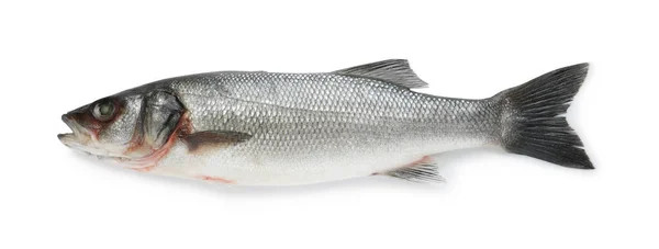 Φρέσκα Ψάρια Λαβρακιού Που Απομονώνονται Λευκό Κορυφαία Άποψη — Φωτογραφία Αρχείου