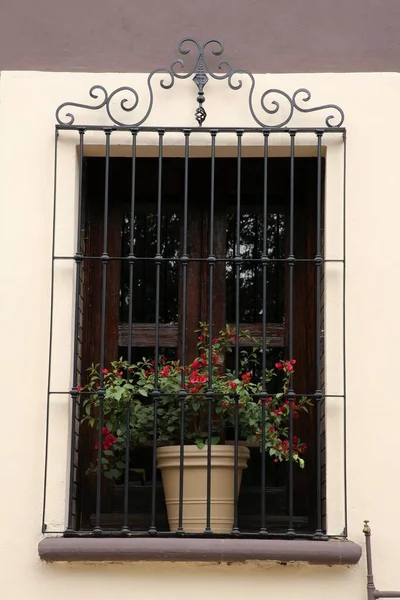 Ahşap Pencereli Bina Pencere Eşiğinde Saksı Bitkisi — Stok fotoğraf