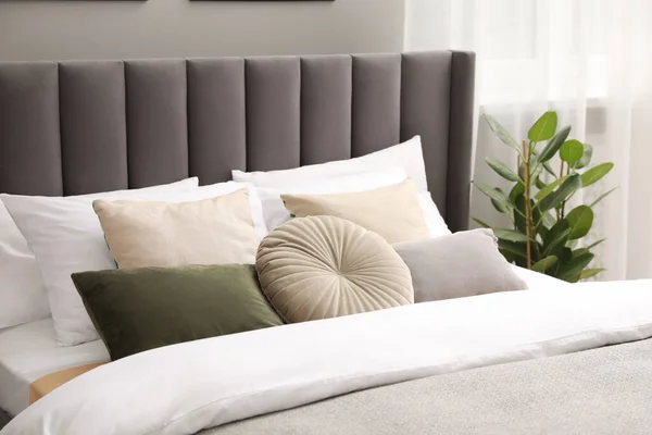 Comfortable bed with cushions and houseplant in room. Stylish interior