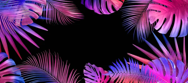 Siyah Arka Planda Neon Renkli Farklı Tropikal Yaprakların Çerçevesi Pankart — Stok fotoğraf