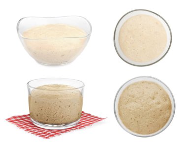 Beyaz arkaplan, üst ve yan görünümlerde taze yapraklı kolaj