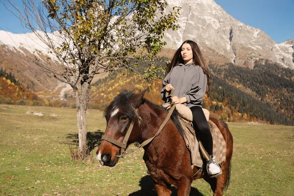 Young woman riding horse in mountains on sunny day. Beautiful pet