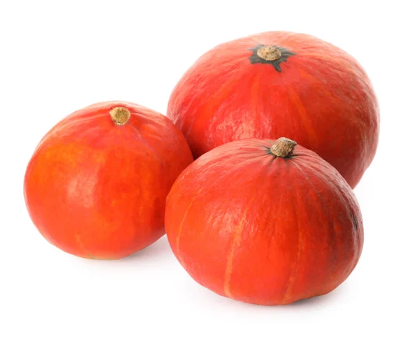 stock image Many whole ripe pumpkins on white background