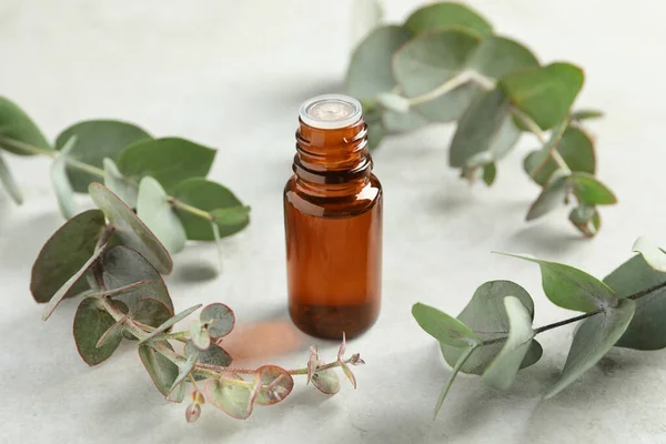 Eine Flasche Ätherisches Eukalyptusöl Und Blätter Auf Weißem Tisch — Stockfoto