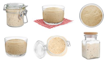 Beyaz arka planda taze yapraklı kolaj