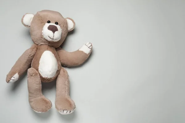 Boneka Beruang Lucu Latar Belakang Abu Abu Muda Pemandangan Atas — Stok Foto
