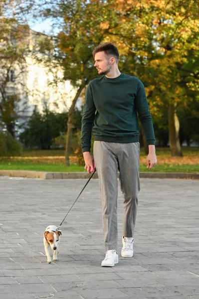 Man with adorable Jack Russell Terrier on city street. Dog walking