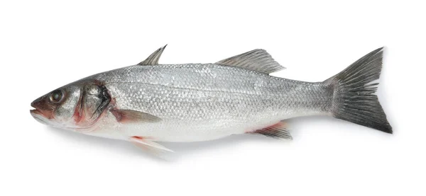 Taze Deniz Levreği Balığı Beyazda Izole Üst Manzara — Stok fotoğraf