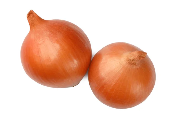 Zwei Frische Zwiebeln Auf Weißem Hintergrund Draufsicht — Stockfoto