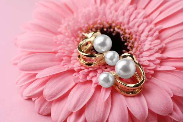Elegant Perle Cercei Gerbera Floare Fundal Roz Closeup — Fotografie, imagine de stoc