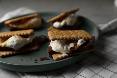 Kraker ve çikolata kaplı lezzetli marshmallow sandviçleri, yakın plan.