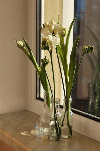 stock image Different beautiful spring flowers on windowsill indoors