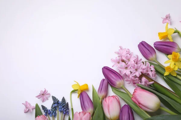 Hermosas Flores Sobre Fondo Blanco Planas Espacio Para Texto —  Fotos de Stock