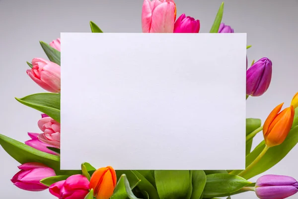 Cartão Aniversário Branco Belas Flores Tulipa Contra Fundo Cinza Flat — Fotografia de Stock