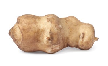 Bir çiğ Kudüs enginarı beyaza izole edilmiş.