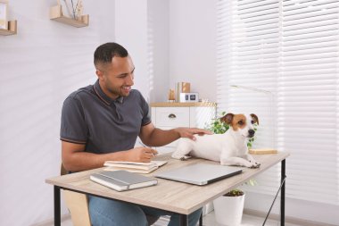 Jack Russell Terrier 'in yanındaki genç adam merkezdeki masada.