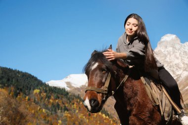 Young woman riding horse in mountains on sunny day. Beautiful pet