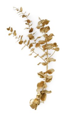 Beyaz arka planda yaprakları olan parlak altın bir dal. Dekor ögesi