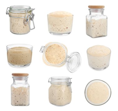 Collage with fresh leaven on white background clipart