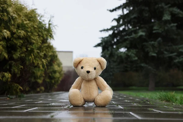 Lonely Teddy Bear Stone Sidewalk Outdoors — Stock Photo, Image