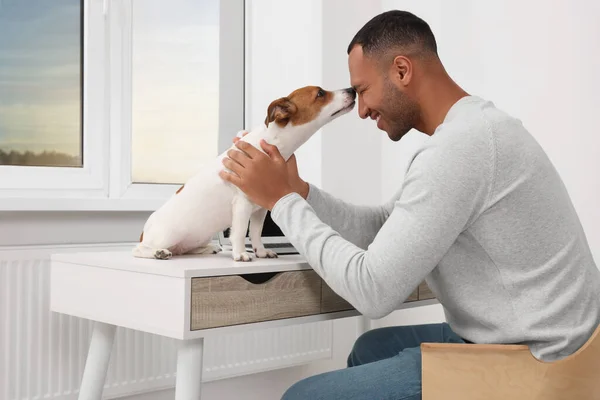 Joven Con Jack Russell Terrier Escritorio Oficina Casa — Foto de Stock