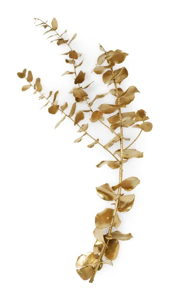 Beyaz Arka Planda Yaprakları Olan Parlak Altın Bir Dal Dekor — Stok fotoğraf
