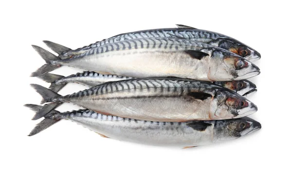 Mnoho Chutných Syrových Makrel Izolovaných Bílém — Stock fotografie