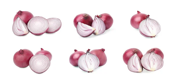 Collage Con Cebollas Rojas Enteras Cortadas Sobre Fondo Blanco —  Fotos de Stock