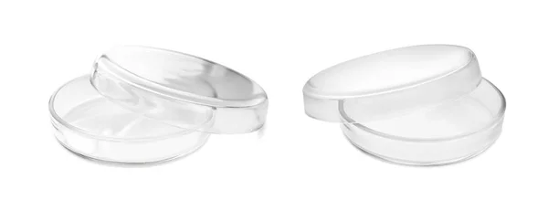 Placas Petri Vazias Isoladas Branco Objectos Vidro Laboratório — Fotografia de Stock
