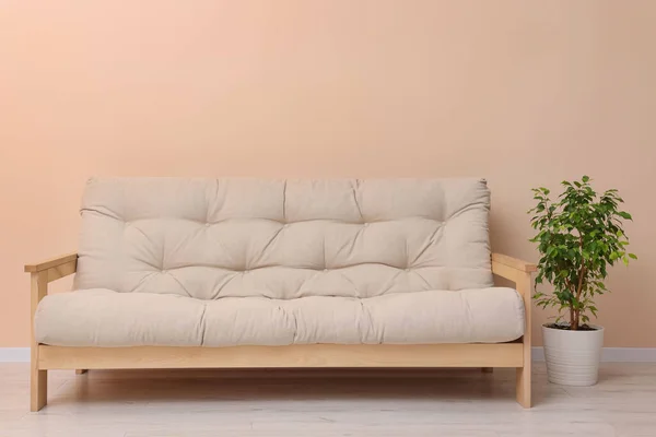 Sofa Nyaman Dan Tanaman Rumah Tangga Dalam Ruangan Desain Interior — Stok Foto