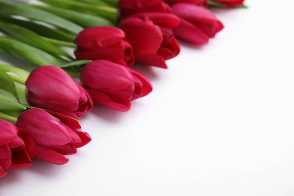 Muchos Hermosos Tulipanes Sobre Fondo Blanco Espacio Para Texto —  Fotos de Stock