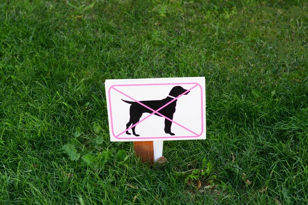 Вывеска Никаких Собак Разрешено Зеленой Траве Открытом Воздухе — стоковое фото