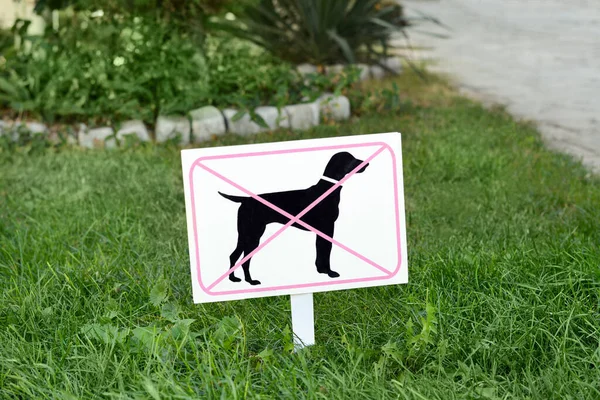 Вывеска Никаких Собак Разрешено Зеленой Траве Открытом Воздухе — стоковое фото