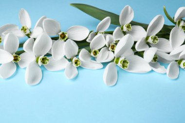 Açık mavi arkaplanda bir sürü güzel kar damlası