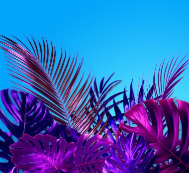 Açık mavi arkaplanda neon renkli tropikal yapraklar