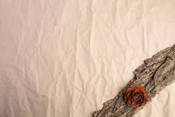 Κομμάτι Φλοιού Δέντρου Και Κώνος Μπεζ Τσαλακωμένο Χαρτί Πάνω Όψη — Φωτογραφία Αρχείου