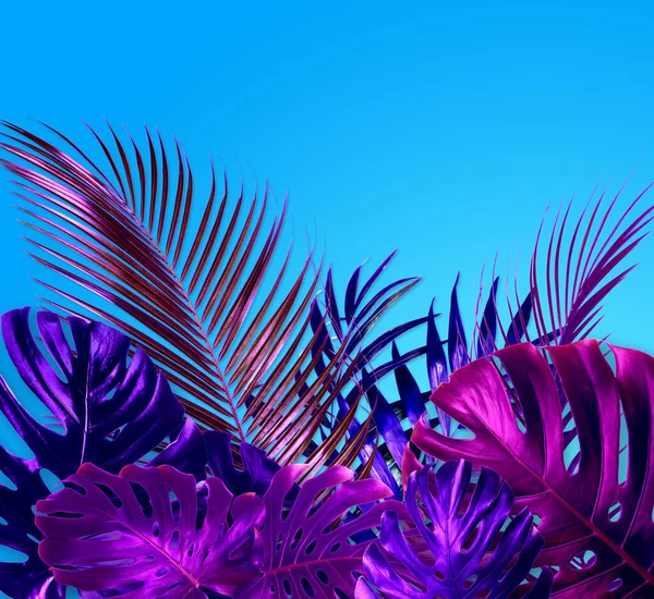 Liście Tropikalne Neonowych Kolorach Jasnoniebieskim Tle — Zdjęcie stockowe