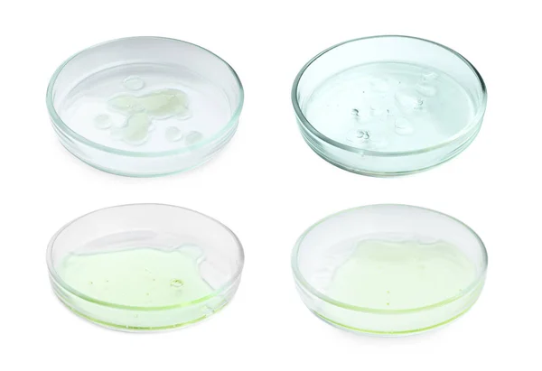 Colagem Placas Petri Com Amostras Líquidas Isoladas Branco — Fotografia de Stock