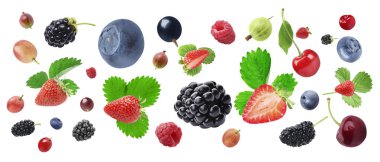 Beyaz arkaplana düşen bir sürü taze meyve.