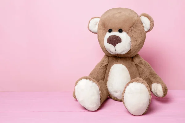 Cute teddy bear on pink background, space for text