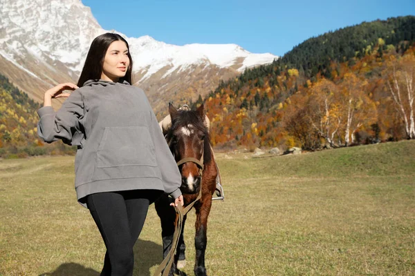 Young woman walking with horse in mountains on sunny day. Beautiful pet