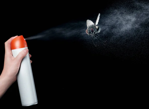 Woman Spraying Insect Aerosol Fly Black Background Closeup — Stock Photo, Image