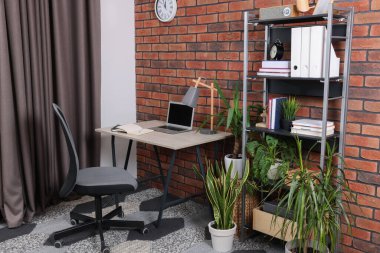 Masası, sandalyesi, kitaplığı ve saksısı olan şık bir iş yeri.