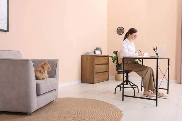 Woman working at desk and cat lying on armchair in room. Home office
