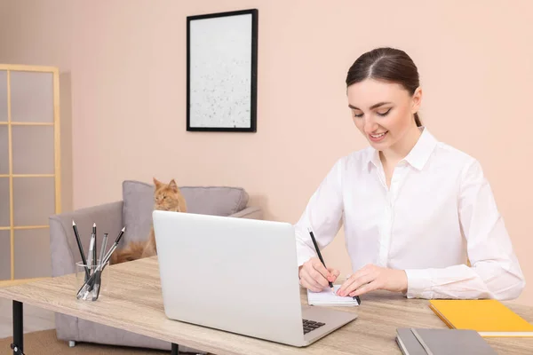 Woman working at desk and cat lying on armchair in room. Home office