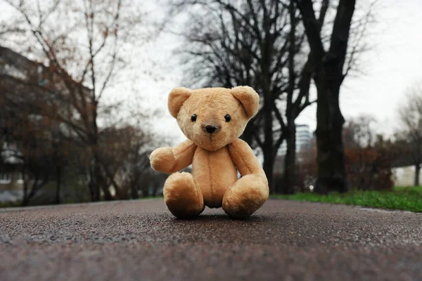 Lonely Teddy Bear Asphalt Road Outdoors — Stock Photo, Image